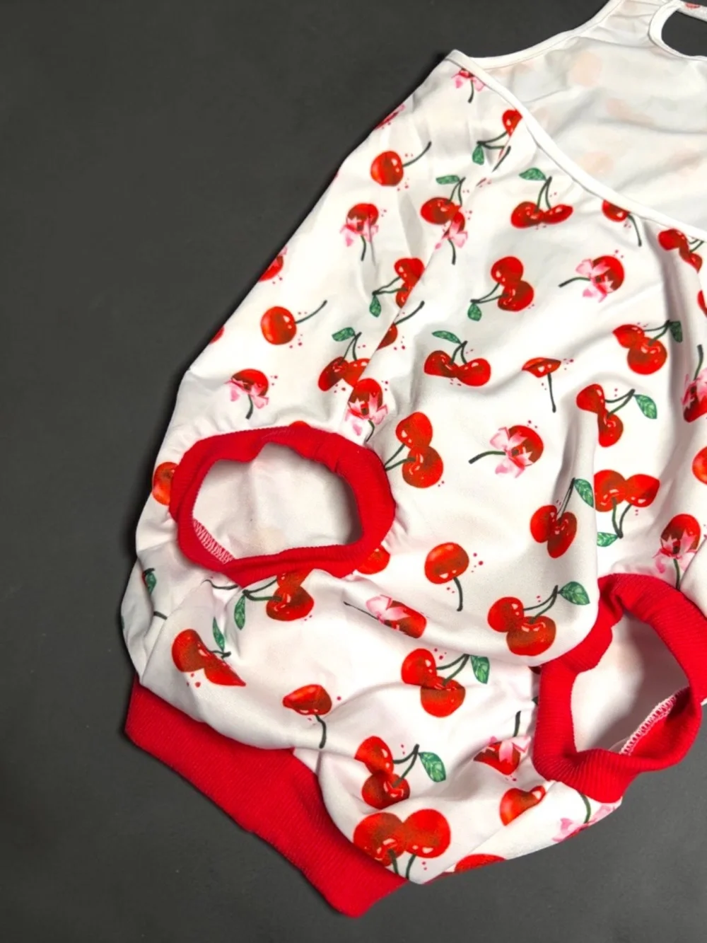 Dog Recovery Suit Large Cherry Print Surgery Onesie NWOT